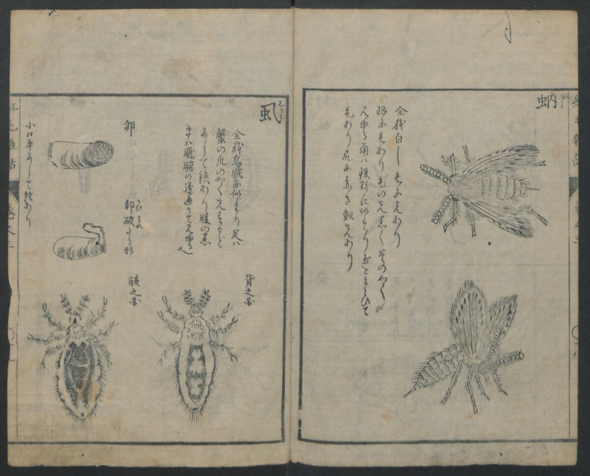 Chats on Novelties of Foreign Lands (Kōmōzatsuwa) 紅毛雑話, Shiba Kōkan 司馬江漢 (Japanese, 1747–1818), Five volumes of woodblock printed books bound as one; ink on paper,, Japan