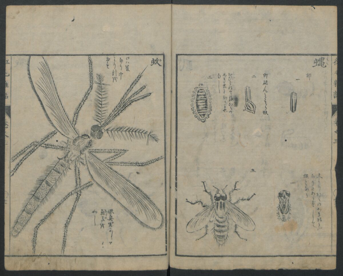 Chats on Novelties of Foreign Lands (Kōmōzatsuwa) 紅毛雑話, Shiba Kōkan 司馬江漢 (Japanese, 1747–1818), Five volumes of woodblock printed books bound as one; ink on paper,, Japan