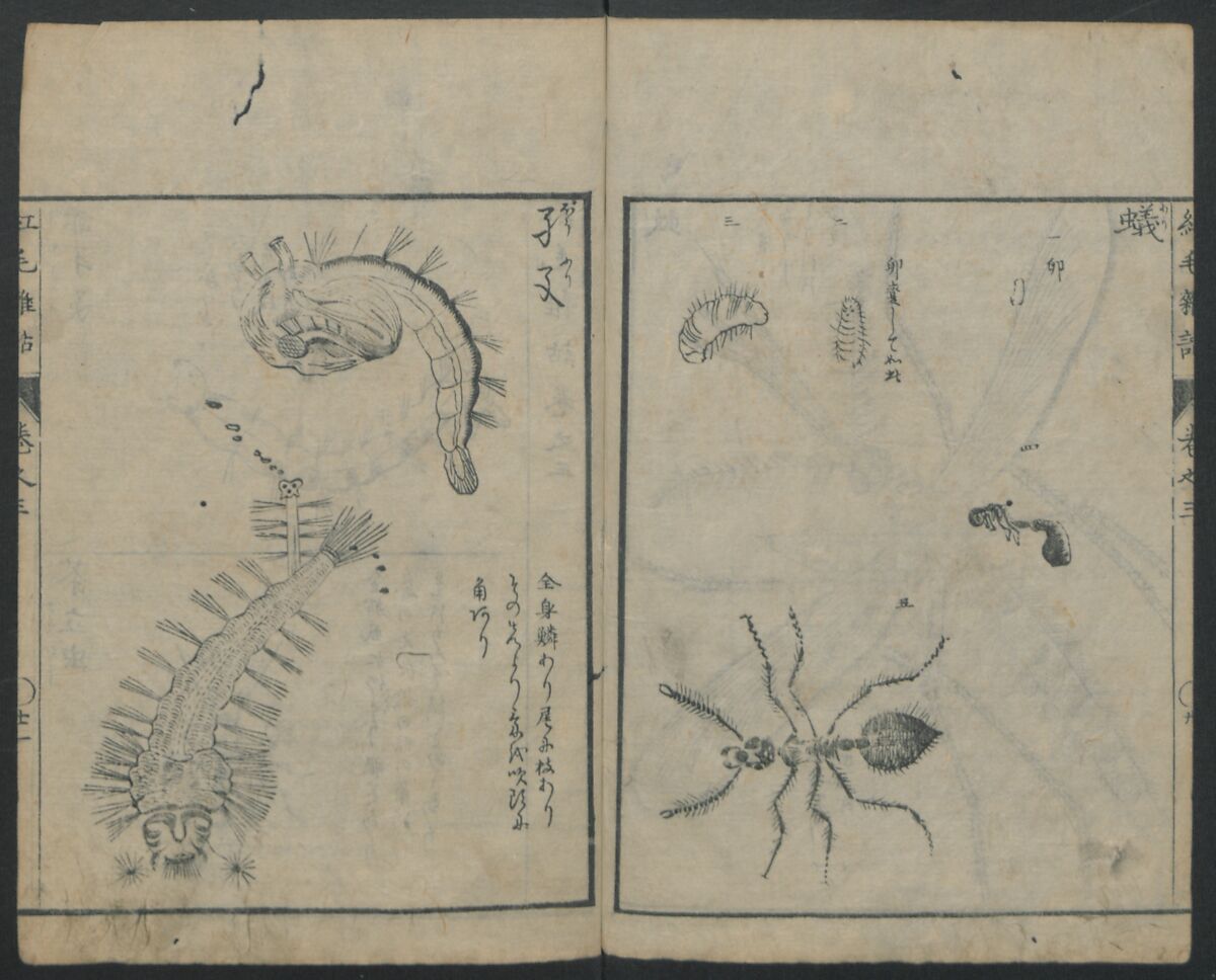 Chats on Novelties of Foreign Lands (Kōmōzatsuwa) 紅毛雑話, Shiba Kōkan 司馬江漢 (Japanese, 1747–1818), Five volumes of woodblock printed books bound as one; ink on paper,, Japan