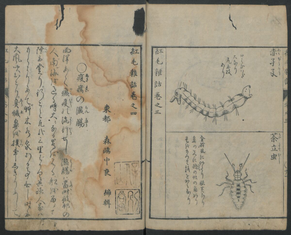 Chats on Novelties of Foreign Lands (Kōmōzatsuwa) 紅毛雑話, Shiba Kōkan 司馬江漢 (Japanese, 1747–1818), Five volumes of woodblock printed books bound as one; ink on paper,, Japan
