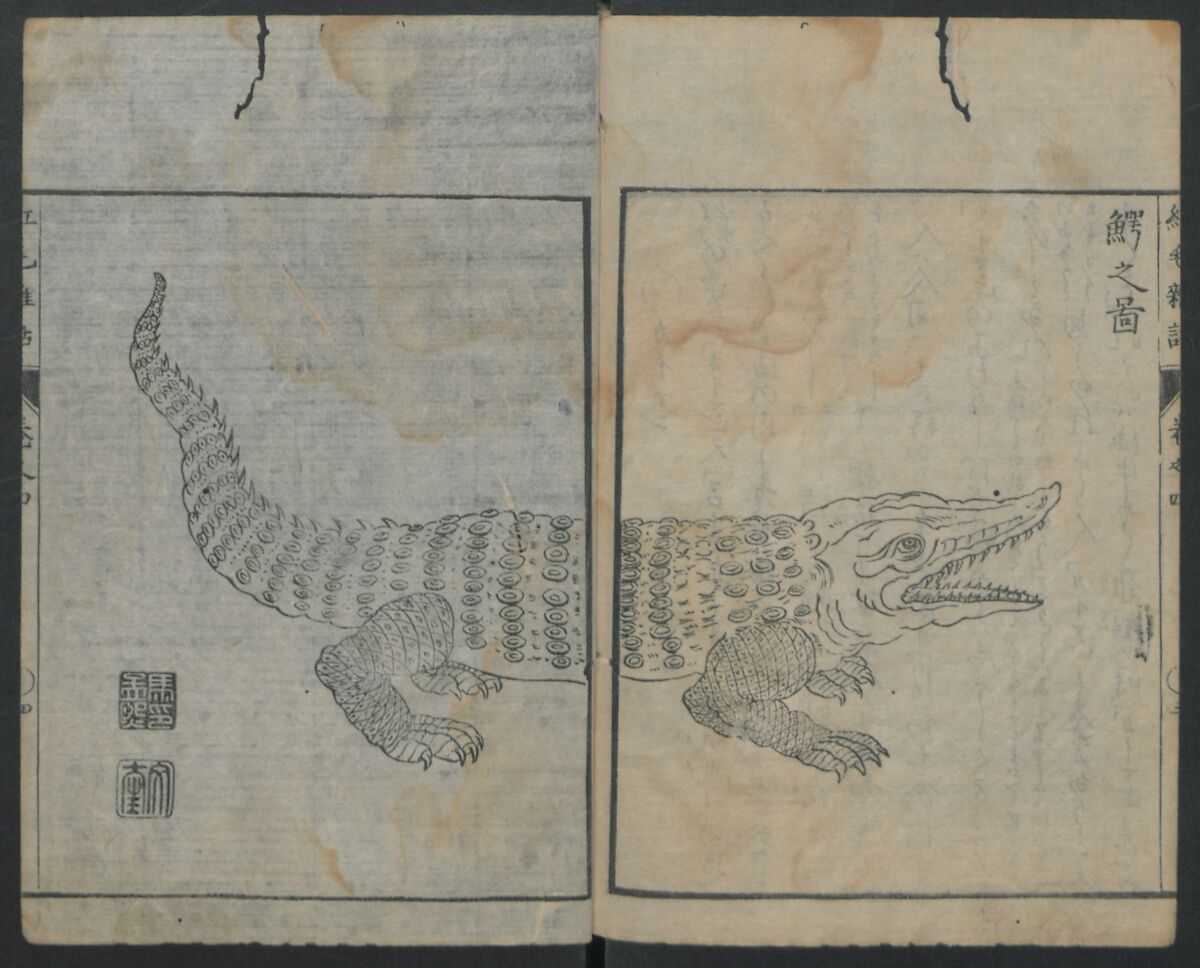 Chats on Novelties of Foreign Lands (Kōmōzatsuwa) 紅毛雑話, Shiba Kōkan 司馬江漢 (Japanese, 1747–1818), Five volumes of woodblock printed books bound as one; ink on paper,, Japan