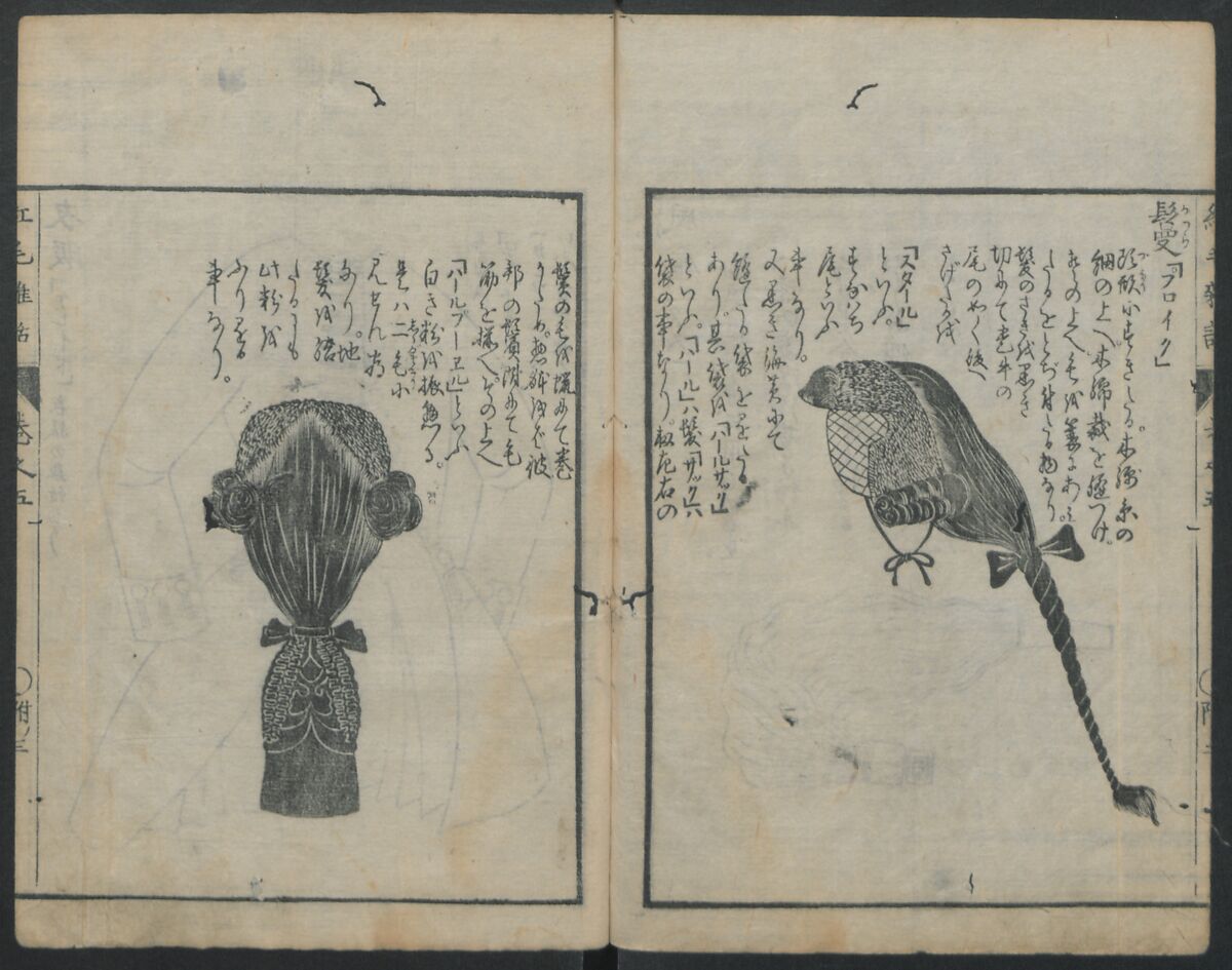 Chats on Novelties of Foreign Lands (Kōmōzatsuwa) 紅毛雑話, Shiba Kōkan 司馬江漢 (Japanese, 1747–1818), Five volumes of woodblock printed books bound as one; ink on paper,, Japan