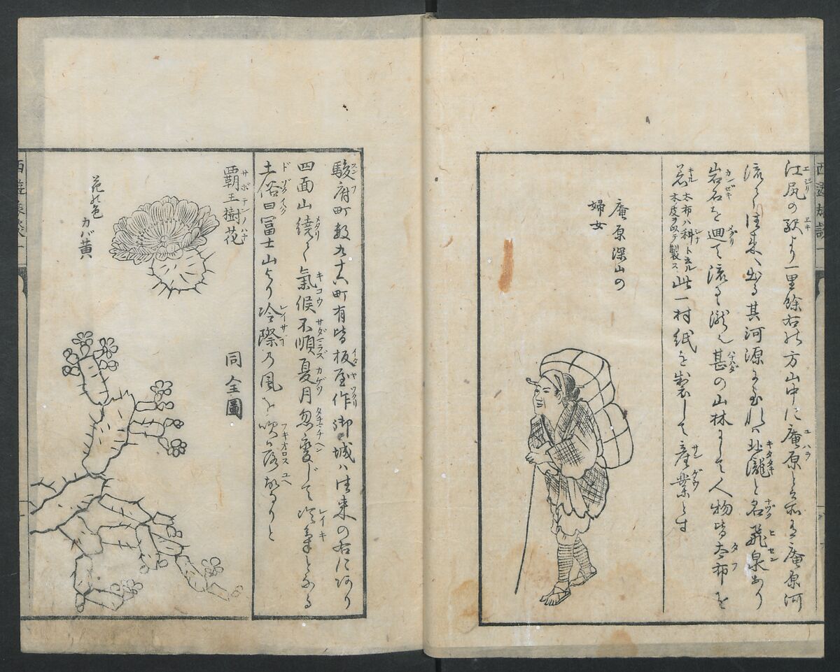 A Diary of Travel from Edo to Nagasaki (Seiyūryōdan), Shiba Kōkan (Japanese, 1747–1818), Five volumes of woodblock printed books; ink on paper, Japan