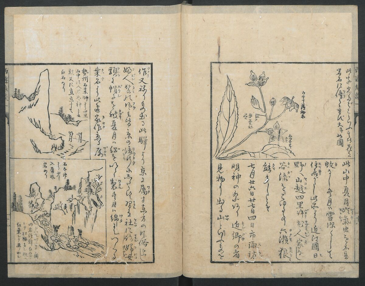 A Diary of Travel from Edo to Nagasaki (Seiyūryōdan), Shiba Kōkan (Japanese, 1747–1818), Five volumes of woodblock printed books; ink on paper, Japan