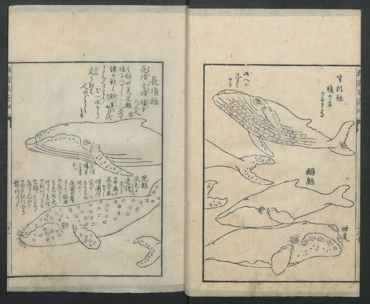 A Diary of Travel from Edo to Nagasaki (Seiyūryōdan), Shiba Kōkan (Japanese, 1747–1818), Five volumes of woodblock printed books; ink on paper, Japan