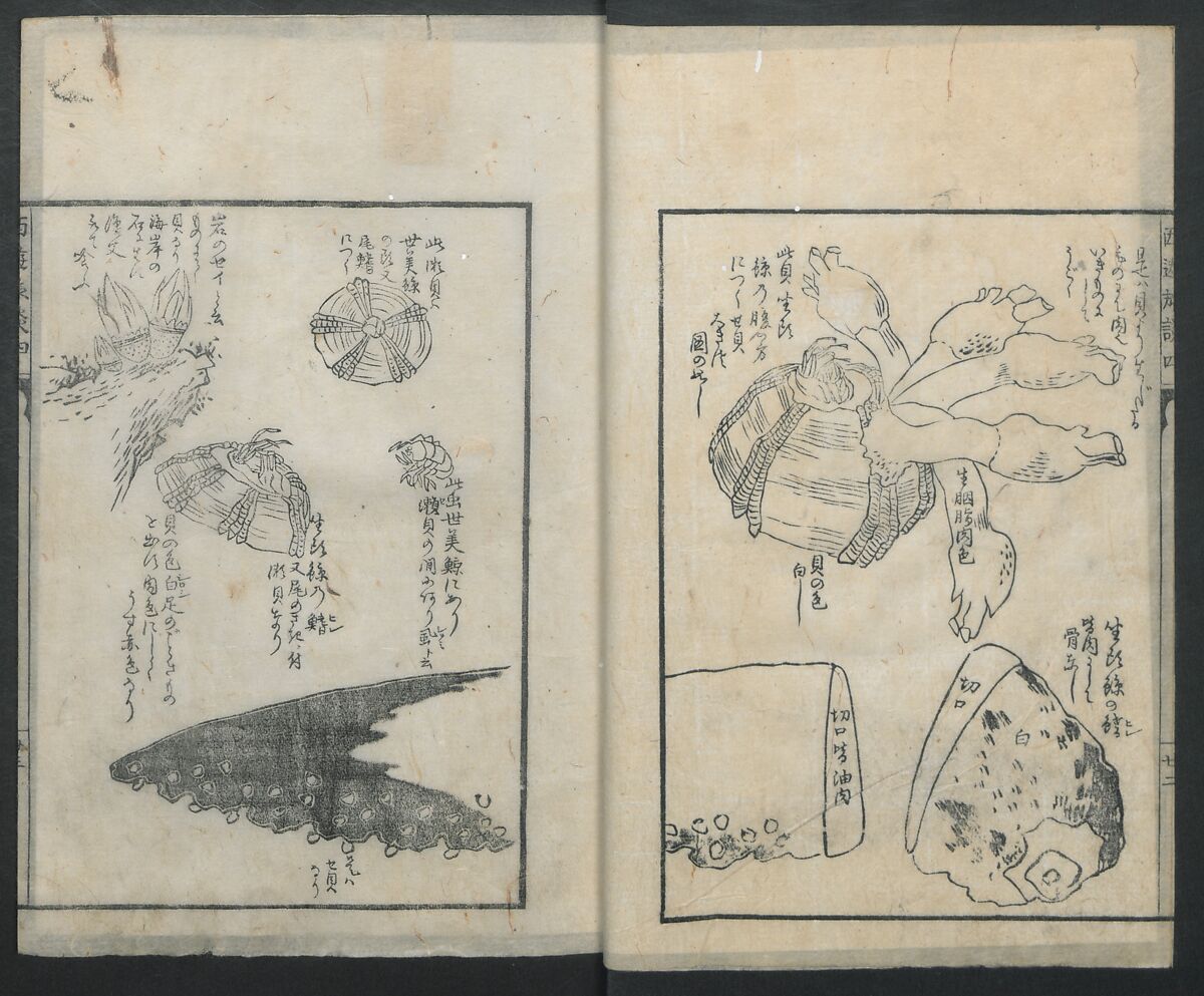 A Diary of Travel from Edo to Nagasaki (Seiyūryōdan), Shiba Kōkan (Japanese, 1747–1818), Five volumes of woodblock printed books; ink on paper, Japan