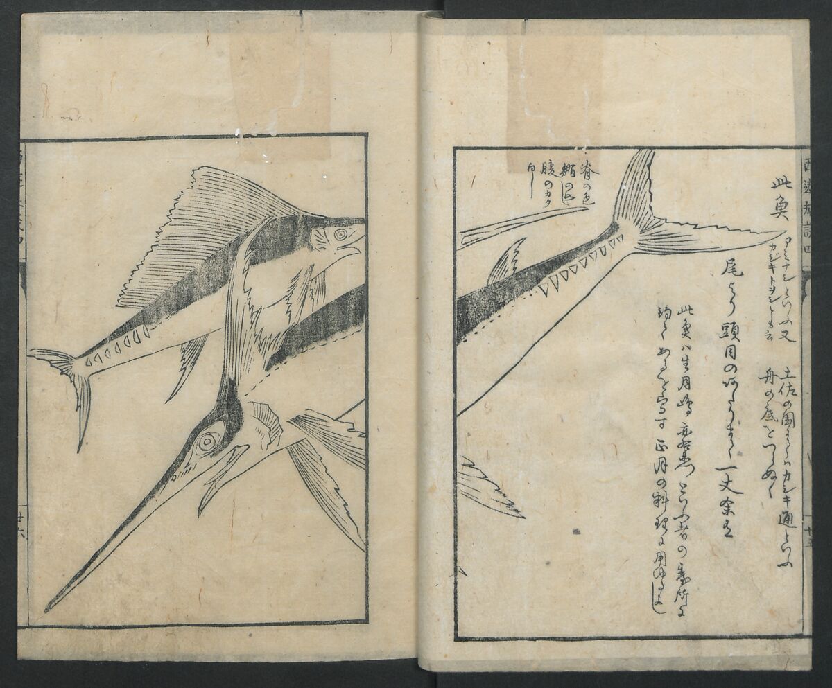 A Diary of Travel from Edo to Nagasaki (Seiyūryōdan), Shiba Kōkan (Japanese, 1747–1818), Five volumes of woodblock printed books; ink on paper, Japan