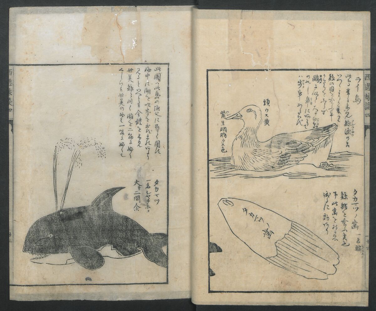 A Diary of Travel from Edo to Nagasaki (Seiyūryōdan), Shiba Kōkan (Japanese, 1747–1818), Five volumes of woodblock printed books; ink on paper, Japan
