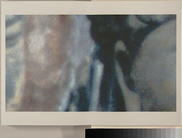 Bounded by Mountains: Dazu, Michael Cherney (American, born 1969), Photographic album of 12 leaves; ink on mica-flecked paper, China