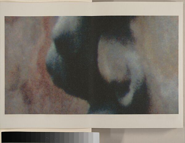 Bounded by Mountains: Dazu, Michael Cherney (American, born 1969), Photographic album of 12 leaves; ink on mica-flecked paper, China