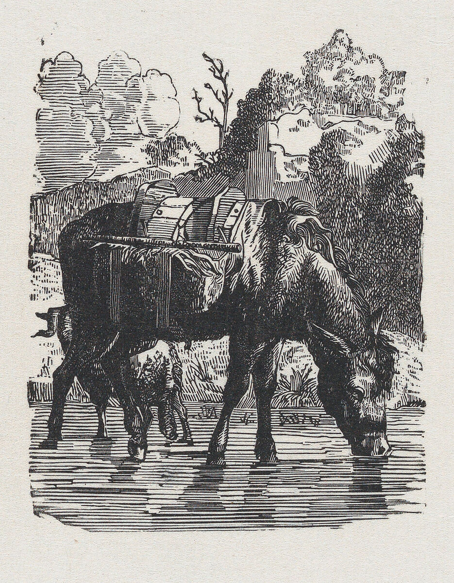 Saddled donkeys drinking water, Anonymous, Mexican, Wood engraving 