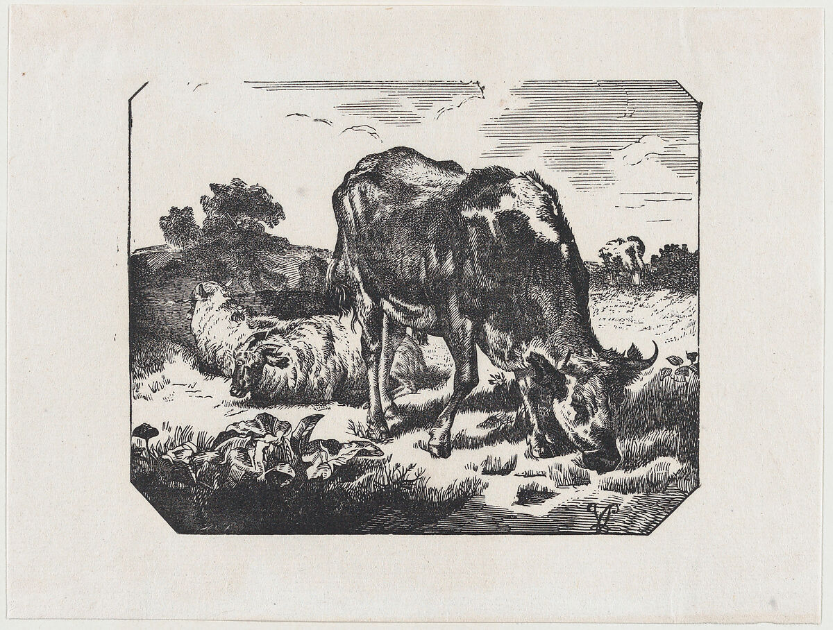 Bull and sheep in a pasture, Anonymous, Mexican, Wood engraving 