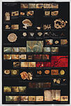 Into the Mysterium, Michele Oka Doner (American, born Miami Beach, Florida, 1945), Artist's book