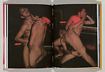 Desire by Numbers, Nan Goldin (American, born Washington, D.C., 1953), Artist's book