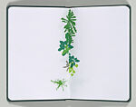 A Field Guide to Weeds, Kim Beck (American, born 1970), Artist's book