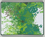 A Field Guide to Weeds, Kim Beck (American, born 1970), Artist's book