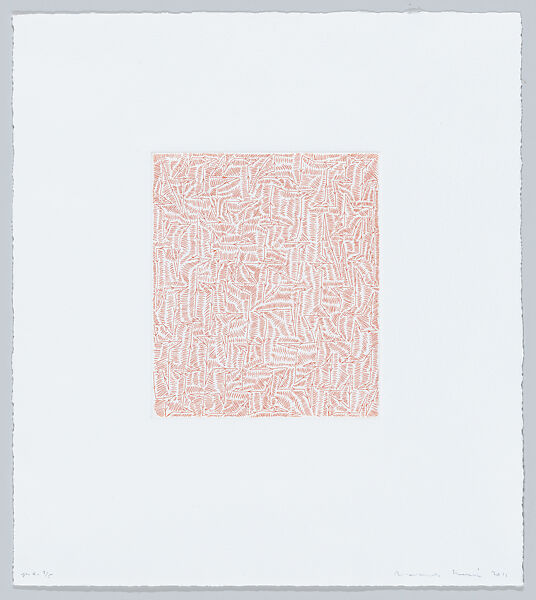 Camí de fletxes entre línies paral.leles (Way of arrows between parallel lines), James Siena (American, born Oceanside, California, 1957), Etching 