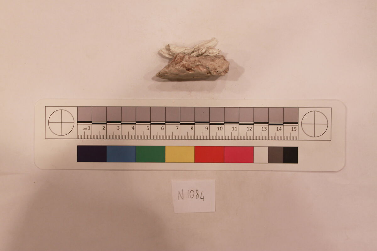 Stucco Fragment, Stucco; carved