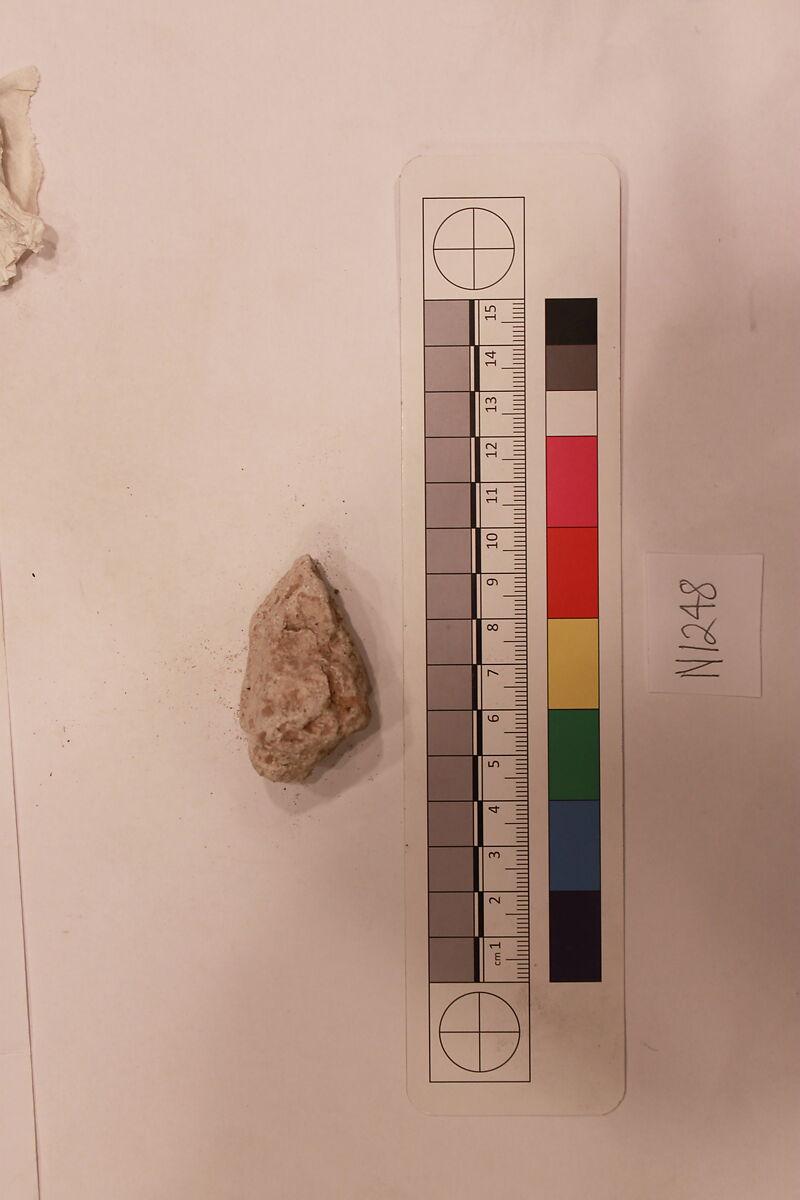 Stucco Fragment, Stucco; carved, painted