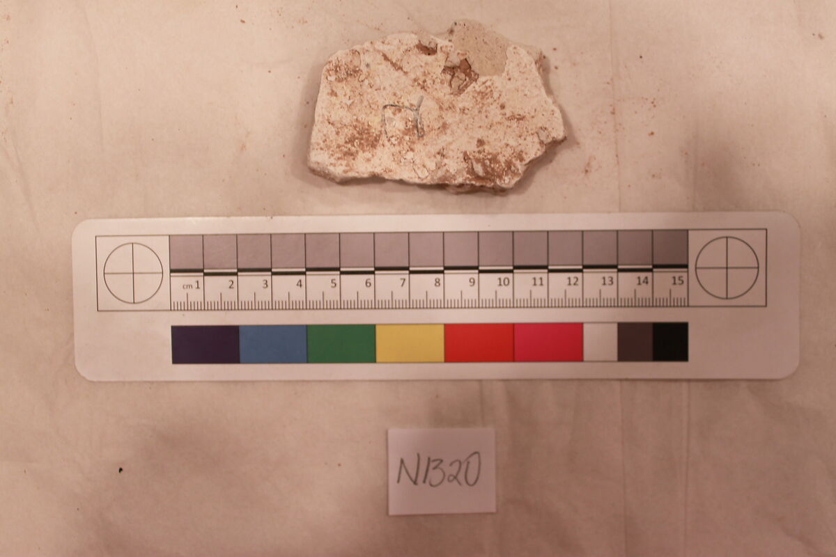 Stucco Fragment, Stucco (mortar); carved, painted