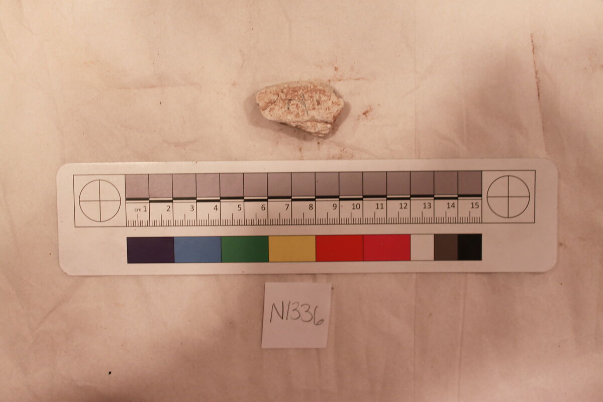 Stucco Fragment, Stucco (mortar); carved, painted