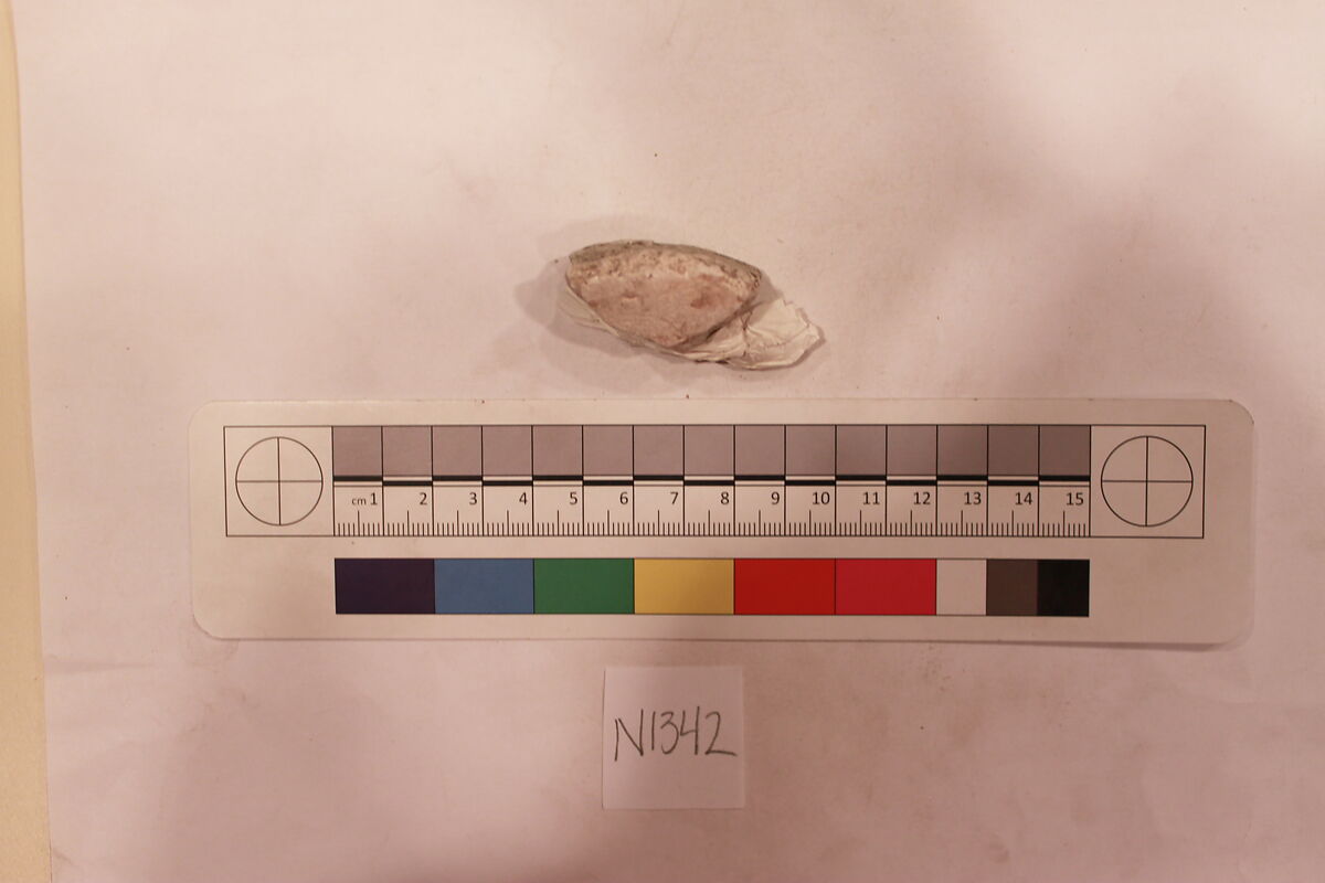 Stucco Fragment, Stucco (mortar); carved, painted