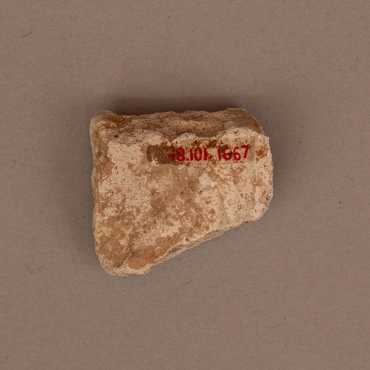 Stucco Fragment, Stucco (mortar); carved, painted