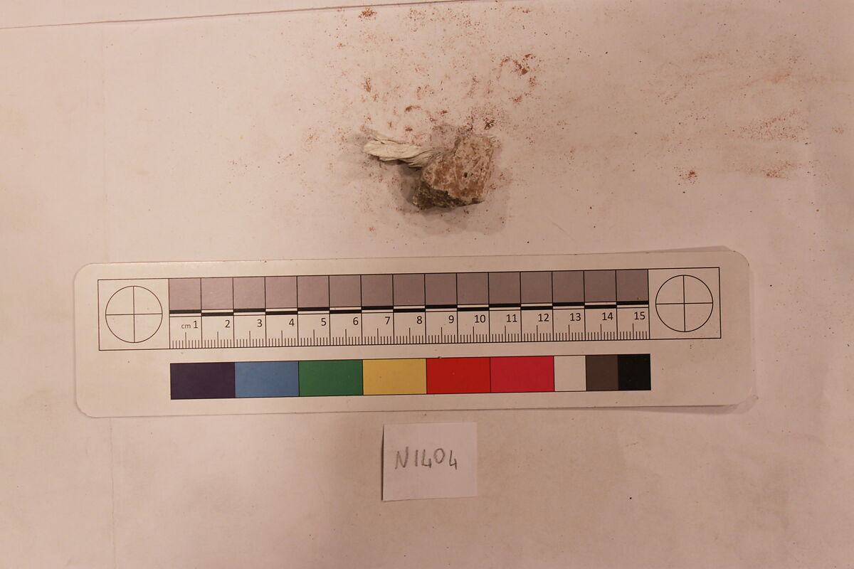 Stucco Fragment, Stucco (mortar); carved, painted