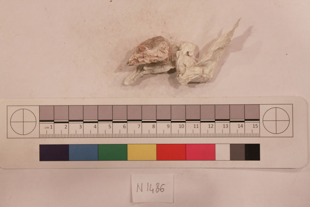 Stucco Fragment, Stucco; carved, painted
