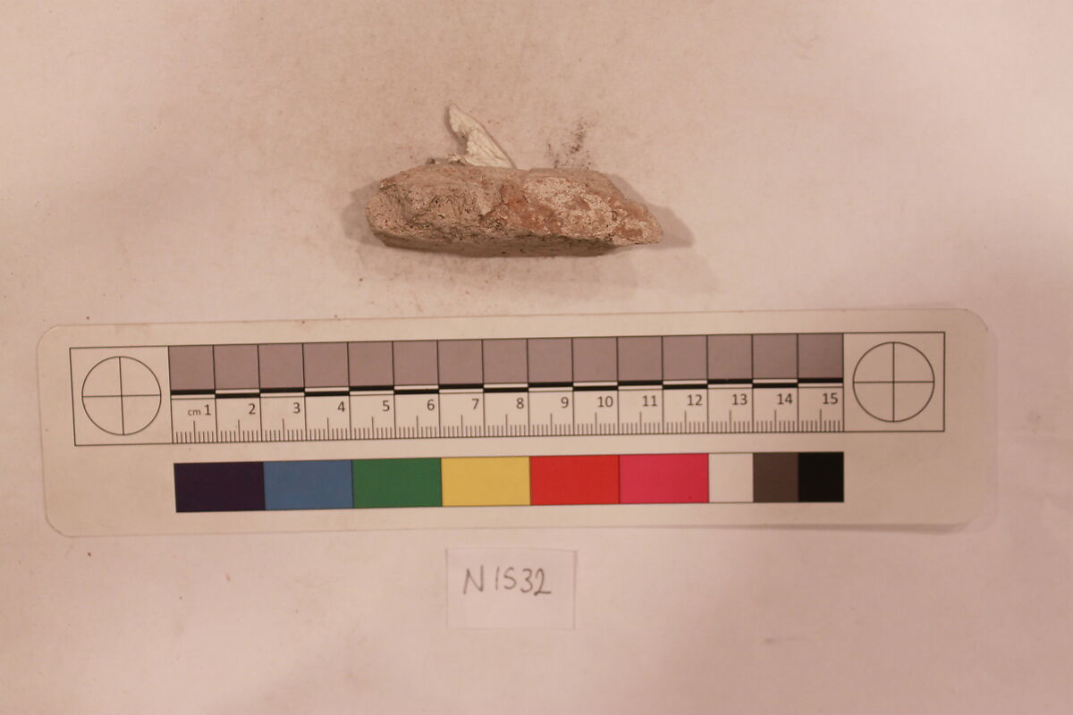 Stucco Fragment, Stucco; carved, painted