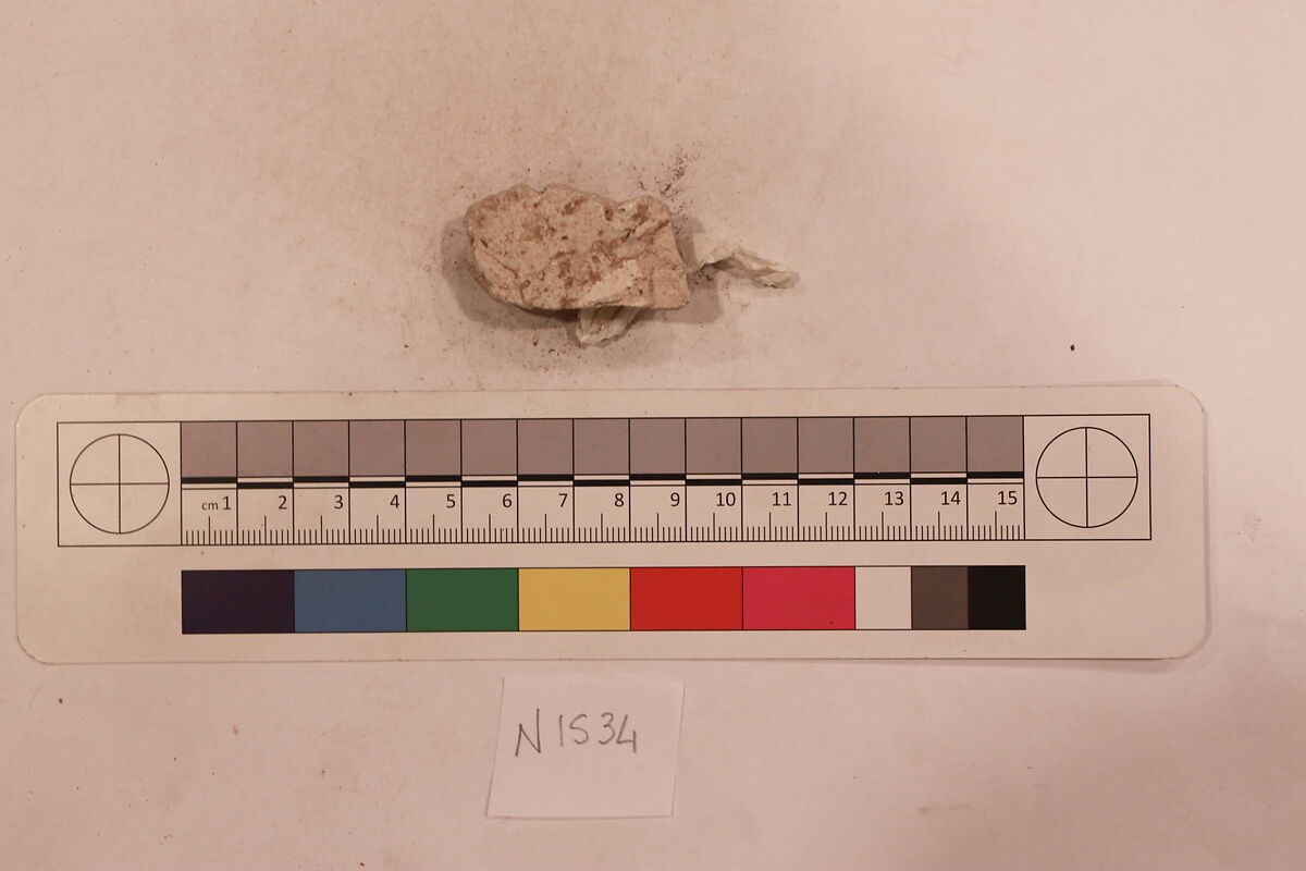 Stucco Fragment, Stucco; carved, painted