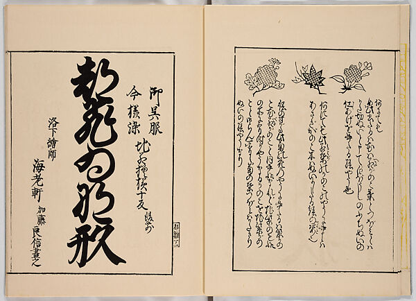 Miyako hinagata, Vol. 2 (kosode patterns from the imperial capital), Woodblock-printed book, Japan