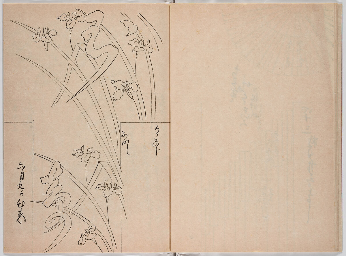 Untitled (frontispiece description: Tōfukumonin yogo ? kitsuke oiwa (celebration of Tofukumonin …), Woodblock-printed book, Japan
