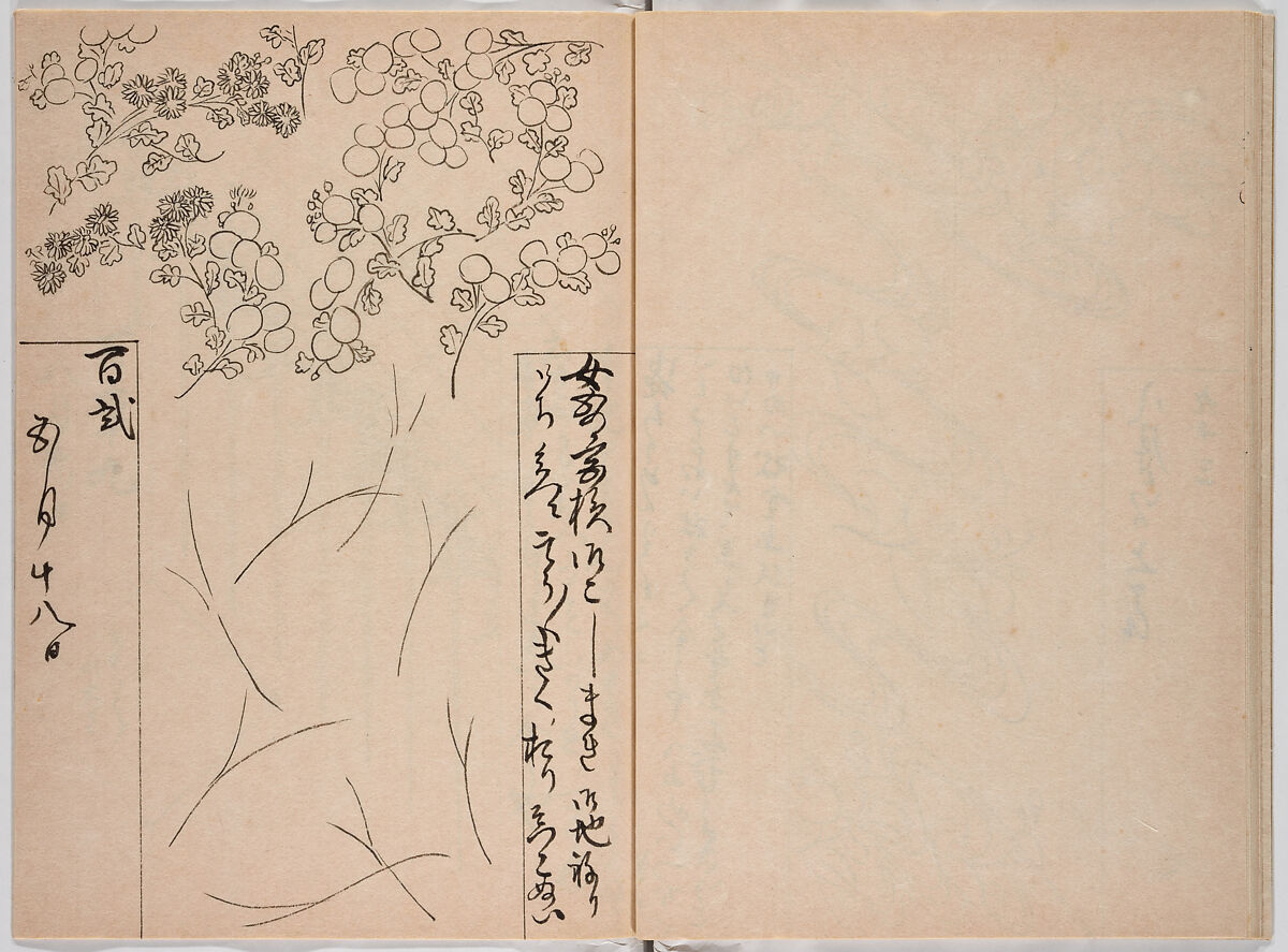 Untitled (frontispiece description: Tōfukumonin yogo ? kitsuke oiwa (celebration of Tofukumonin …), Woodblock-printed book, Japan
