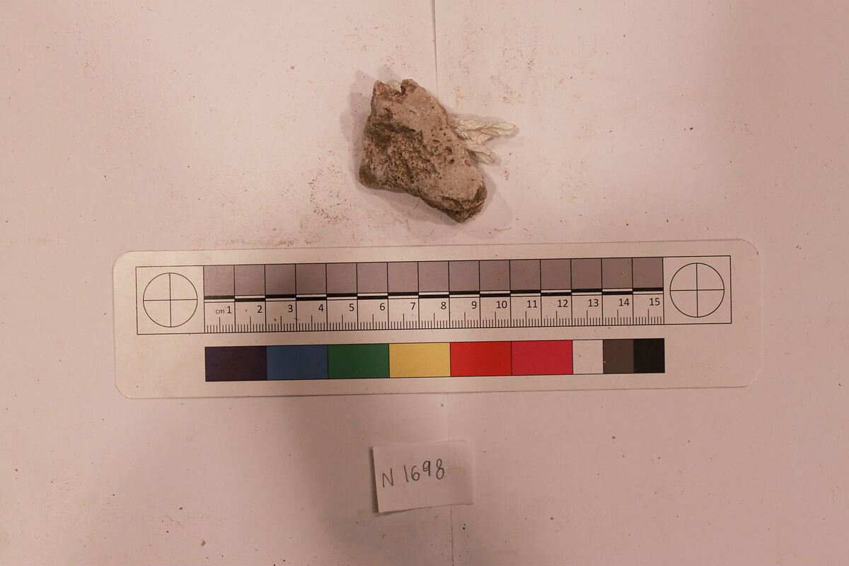 Stucco Fragment, Stucco; carved