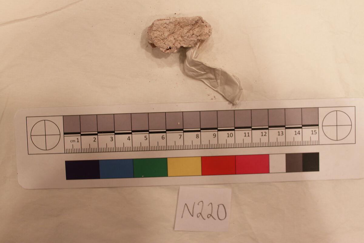 Stucco Fragment, Stucco; carved 