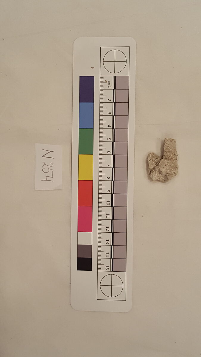 Stucco Fragment, Stucco; carved, painted (?)