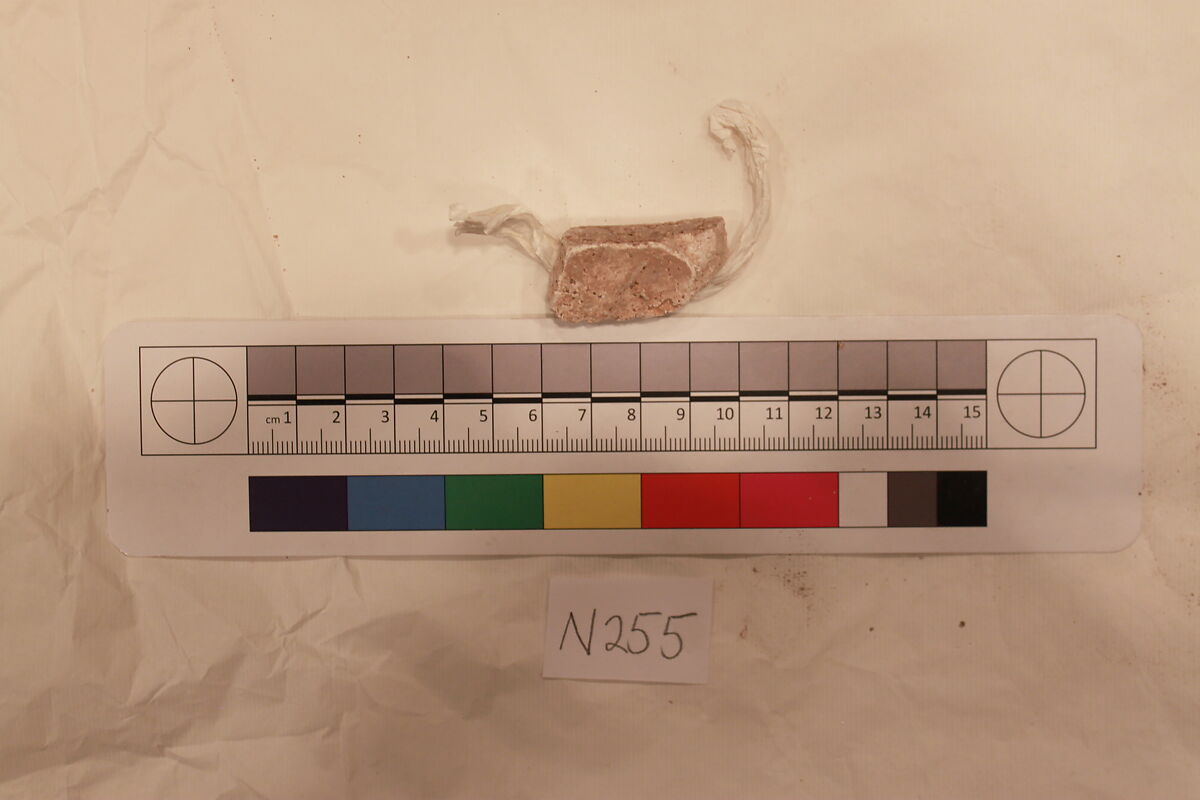 Stucco Fragment, Stucco; carved