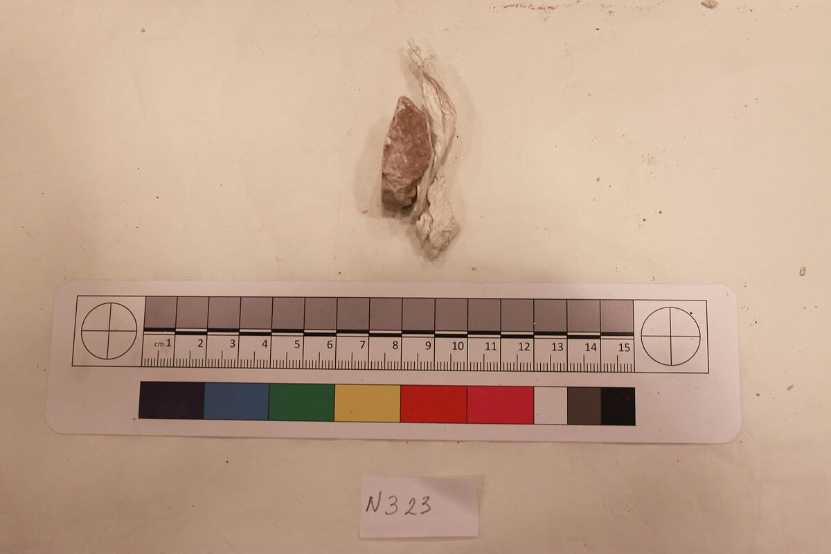 Stucco Fragment, Stucco; carved