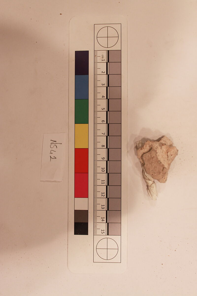Stucco Fragment, Stucco; carved