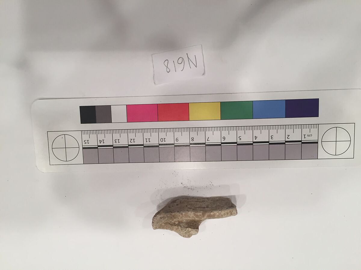 Stucco Fragment, Stucco; carved, painted 