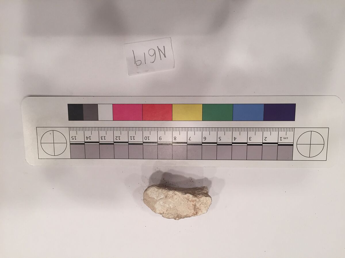 Stucco Fragment, Stucco; carved, painted