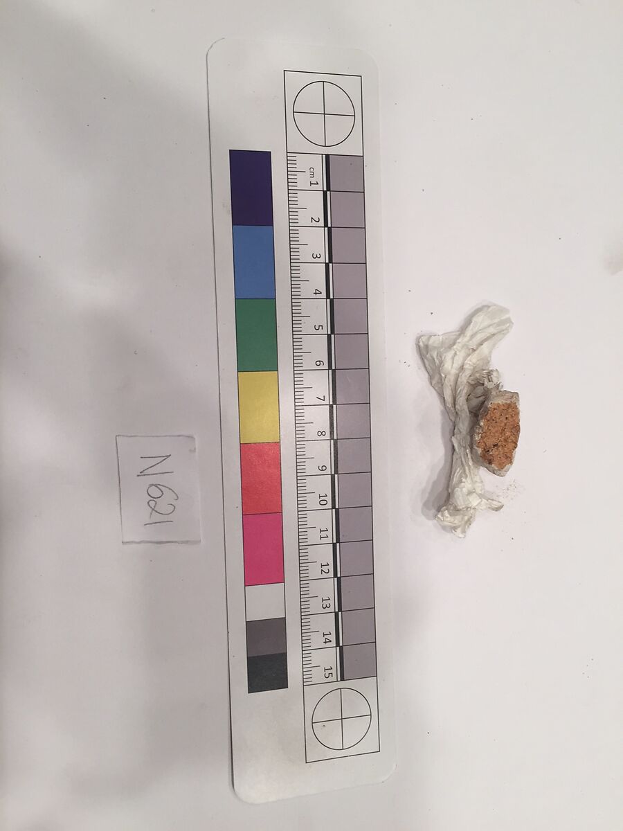 Stucco Fragment, Stucco; carved