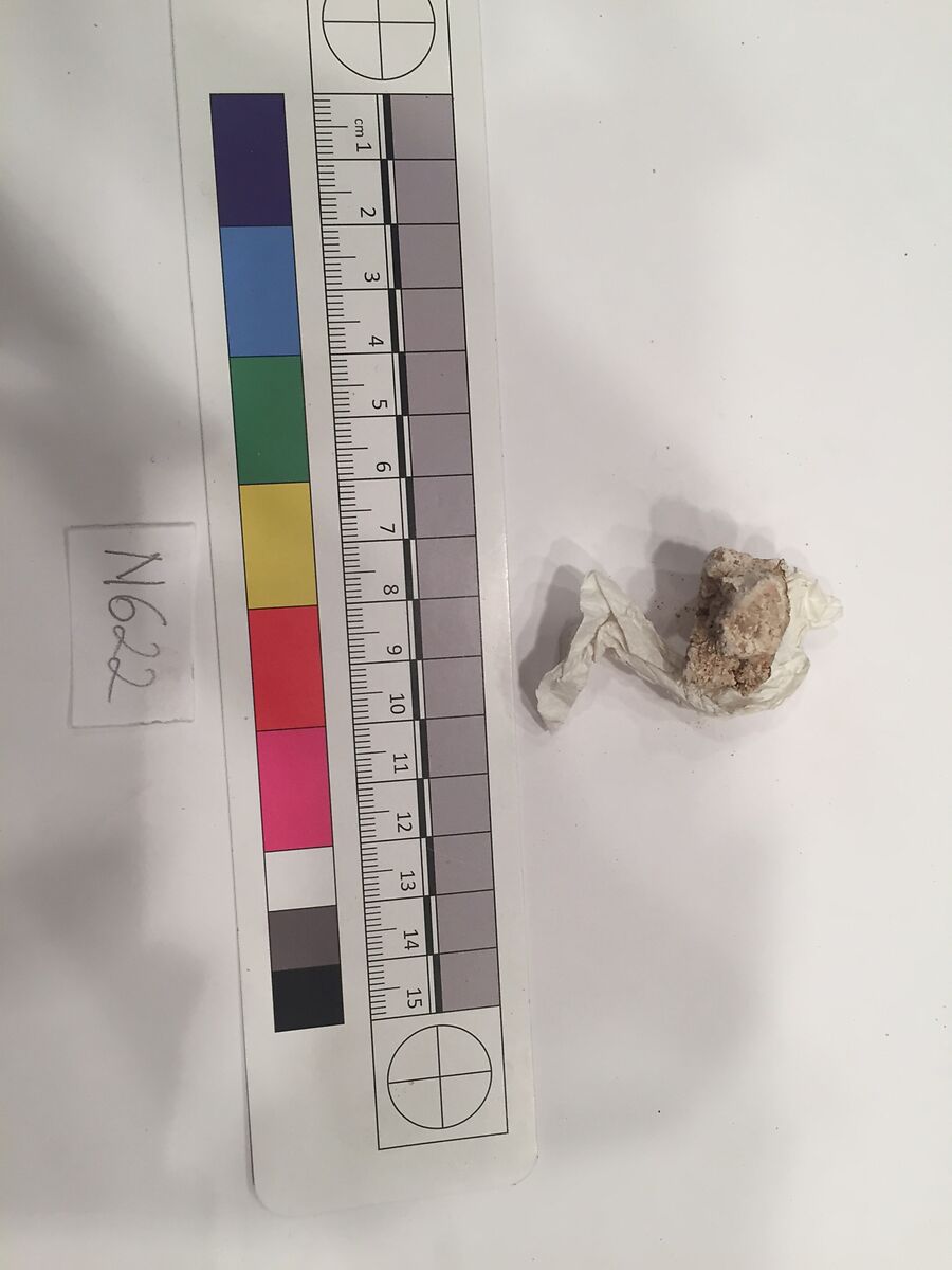 Stucco Fragment, Stucco; carved
