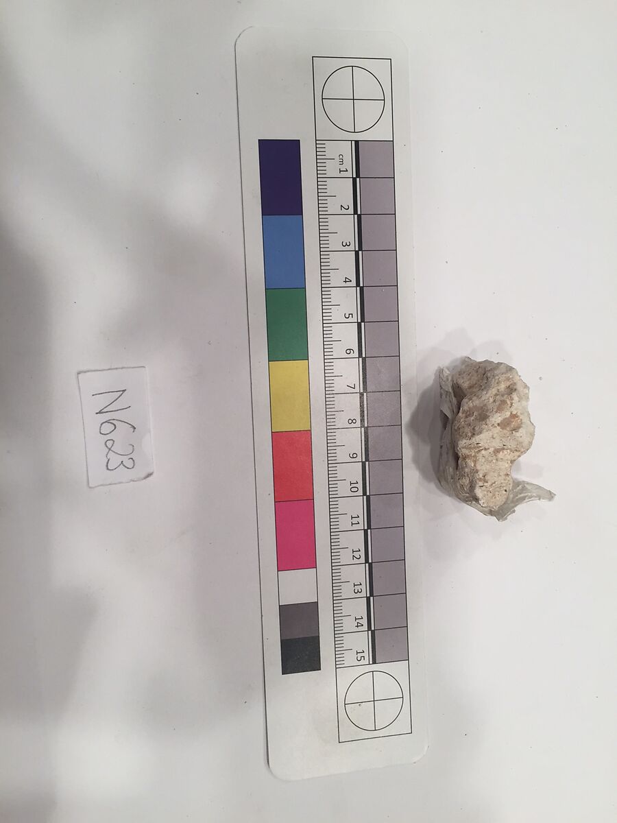 Stucco Fragment, Stucco; carved