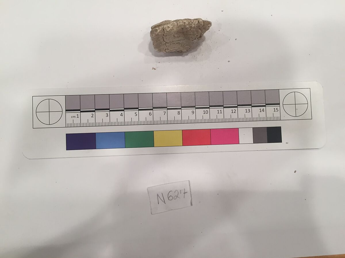 Stucco Fragment, Stucco; carved 