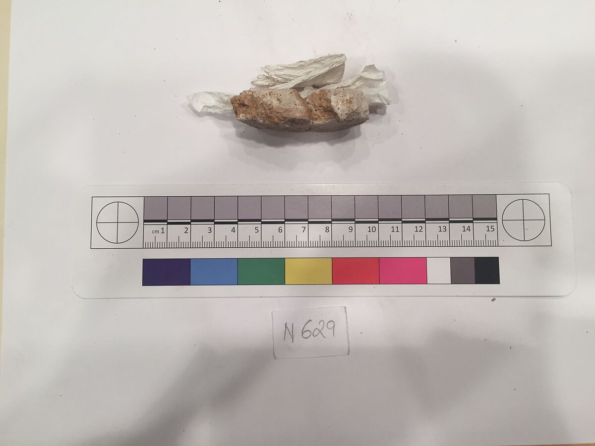 Stucco Fragment, Stucco; carved