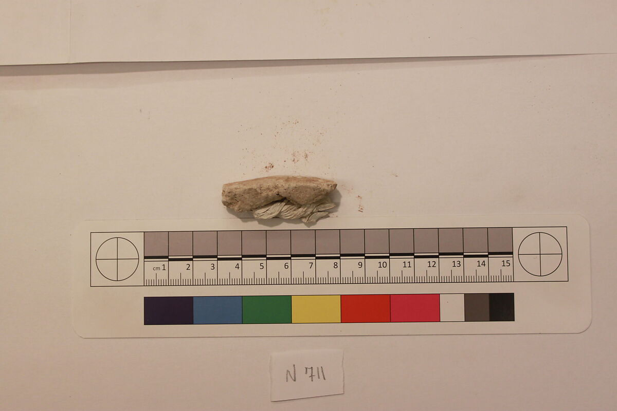 Stucco Fragment, Stucco; carved, painted (?)
