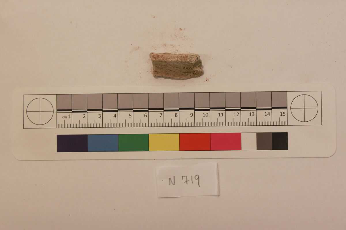 Stucco Fragment, Stucco; carved, painted (?)