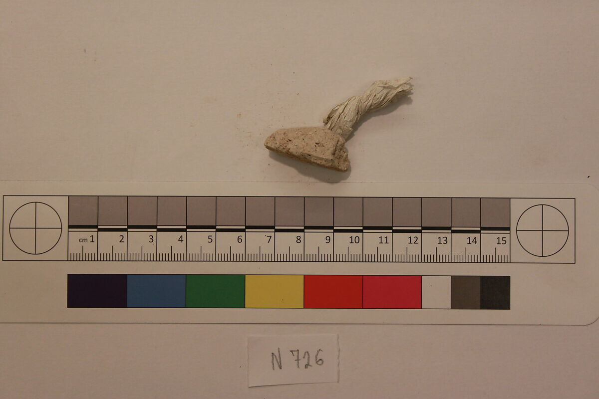 Stucco Fragment, Stucco; carved, painted (?)